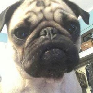 Meet your Posher, Vicky